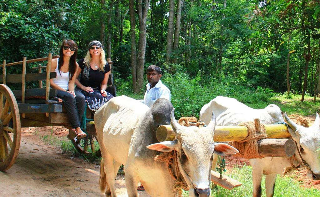Bullock Cart Village Tour