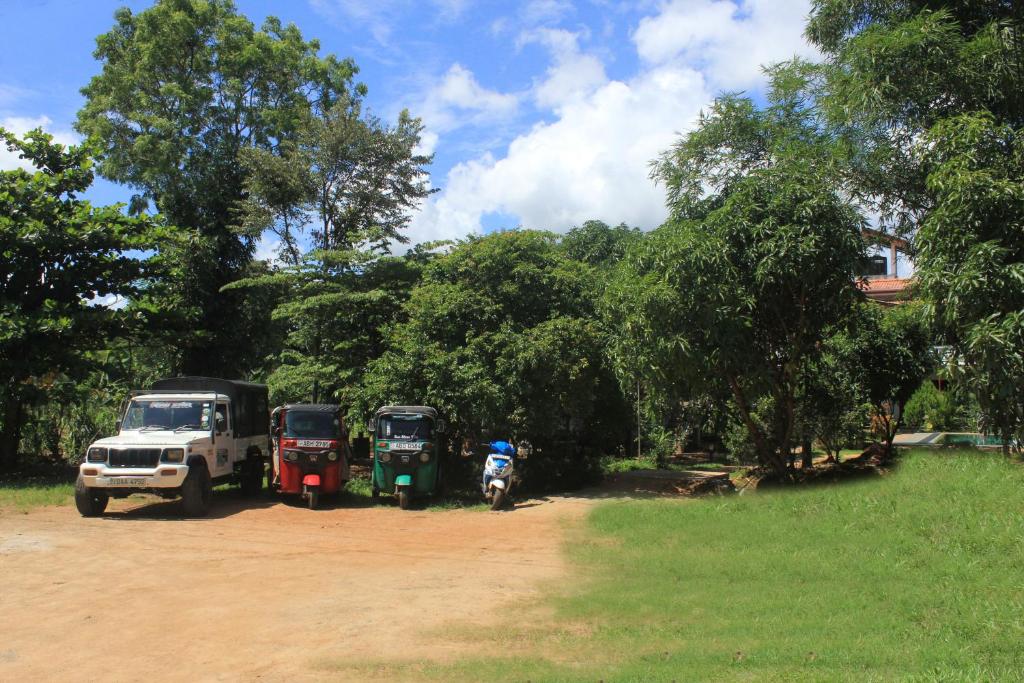Safari Jeeps and Tuk Tuks